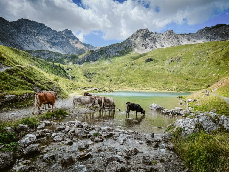 Die 5 schönsten Wanderungen in Arosa mit Kinder