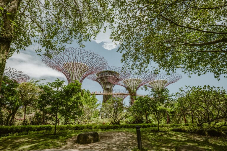 Singapur Reisevorbereitung Tipps
